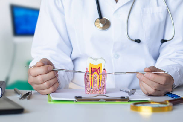 Best Emergency Root Canal Treatment in Bear Rocks, PA
